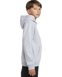 3 Cornell Classic - Hoody voor Jongens 8-16 Gray ELBFT00125 Element