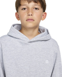 4 Cornell Classic - Hoody voor Jongens 8-16 Gray ELBFT00125 Element