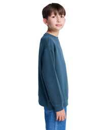 4 Lowcase Pigment Cr Y - Sweatshirt for Boys 8-16 Blue ELBFT00130 Element
