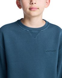 5 Lowcase Pigment Cr Y - Sweatshirt for Boys 8-16 Blue ELBFT00130 Element