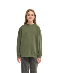 5 Lowcase Pigment Cr Y Verde ELBFT00130 Element