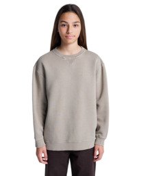 3 Lowcase Pigment Cr Y - Sweatshirt für Jungen 8-16 Beige ELBFT00130 Element