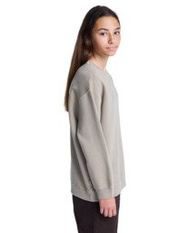 4 Lowcase Pigment Cr Y - Sweatshirt für Jungen 8-16 Beige ELBFT00130 Element