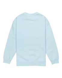 1 Cornell 3.0 - Sweater voor Jongens 8-16 Blue ELBFT00137 Element