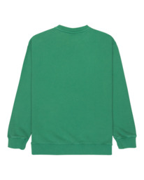 1 Cornell 3.0 - Pullover Sweatshirt for Boys 8 - 16 Green ELBFT00137 Element