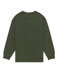 1 Cornell 3.0 - Pullover Sweatshirt for Boys 8 - 16 Green ELBFT00137 Element