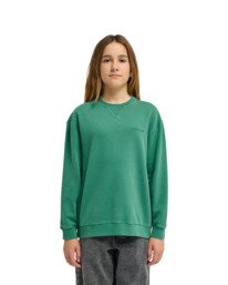 2 Cornell 3.0 - Pullover Sweatshirt for Boys 8 - 16 Green ELBFT00137 Element