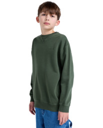 4 Cornell 3.0 - Pullover Sweatshirt for Boys 8 - 16 Green ELBFT00137 Element