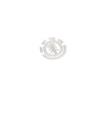 2 Icon Embroidery Po Y Marrom ELBFT00141 Element