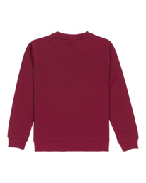 1 Icon Embroidery Cr Y - Sweater voor Jongens 8-16 Red ELBFT00144 Element