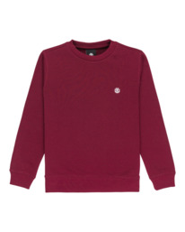 0 Icon Embroidery Cr Y - Sweater voor Jongens 8-16 Red ELBFT00144 Element