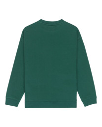 1 Central Lowcase Cr Y - Sweater voor Jongens 8-16 Green ELBFT00146 Element