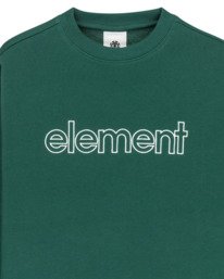 2 Central Lowcase Cr Y - Sweater voor Jongens 8-16 Green ELBFT00146 Element