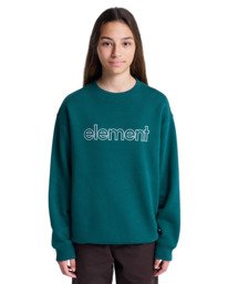 3 Central Lowcase Cr Y - Sweater voor Jongens 8-16 Green ELBFT00146 Element