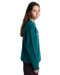 4 Central Lowcase Cr Y - Sweater voor Jongens 8-16 Green ELBFT00146 Element