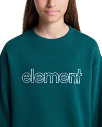 5 Central Lowcase Cr Y - Sweater voor Jongens 8-16 Green ELBFT00146 Element