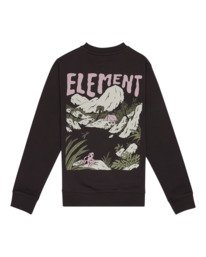 0 Lakeside - Sweatshirt para Rapazes 8-16 Preto ELBFT00160 Element