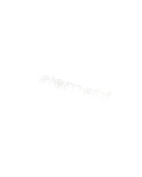 3 Lowcase Pigment Green ELBKT00137 Element