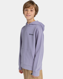 3 Blazin Chest - Hoodie for Boys 8-16 Purple ELBSF00107 Element