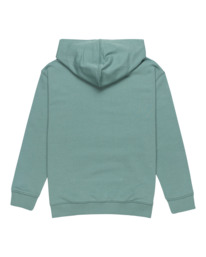 1 Skateboard Co - Pullover Hoodie for Boys 8 - 16 Blue ELBSF00182 Element