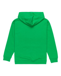 1 Skateboard Co - Sweat à capuche pour Garçon 8-16 Vert ELBSF00182 Element