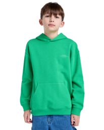 3 Skateboard Co - Sweat à capuche pour Garçon 8-16 Vert ELBSF00182 Element