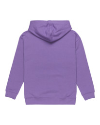 1 Walkin - Pullover Hoodie for Boys 8 - 16 Purple ELBSF00187 Element