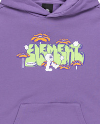 2 Walkin - Pullover Hoodie for Boys 8 - 16 Purple ELBSF00187 Element