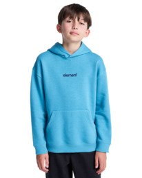2 Lowcase Bp Po Y - Sweat à capuche pour Garçon 8-16 ans Bleu ELBSF00197 Element