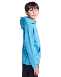 3 Lowcase Bp Po Y - Sweat à capuche pour Garçon 8-16 ans Bleu ELBSF00197 Element