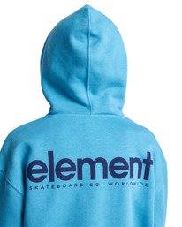 5 Lowcase Bp Po Y - Sweat à capuche pour Garçon 8-16 ans Bleu ELBSF00197 Element