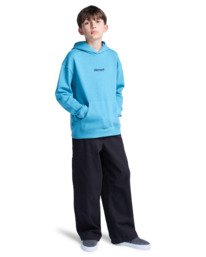 6 Lowcase Bp Po Y - Sweat à capuche pour Garçon 8-16 ans Bleu ELBSF00197 Element