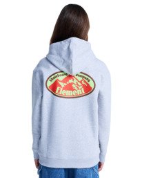 8 Epic Po Y - Felpa con cappuccio da Ragazzo 8-16 Gray ELBSF00214 Element