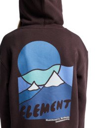 6 Sunrise Po Y - Hoodie for Boys 8-16 Brown ELBSF00217 Element