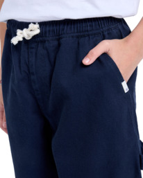 5 Carpenter 19.3" - Walkshorts für Jungs 8 - 16 Blau ELBWS00115 Element