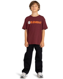 4 Blazin - T-shirt pour Garçon 8-16 ans Rouge ELBZT00109 Element