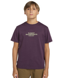 2 Skateboard Co - T-shirt à manches courtes pour Garçon 8-16 Violet ELBZT00200 Element