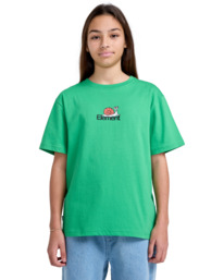 2 New World - Short Sleeves T-Shirt for Boys 8 - 16 Green ELBZT00234 Element