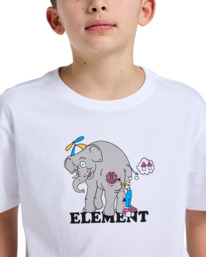 4 Paintjob Weiss ELBZT00236 Element