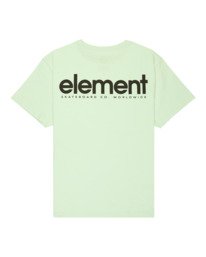 1 Lowcase Bp Y - Short Sleeve T-Shirt for Boys 8-16 Green ELBZT00249 Element