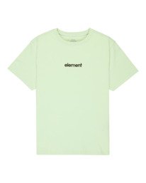0 Lowcase Bp Y - Short Sleeve T-Shirt for Boys 8-16 Green ELBZT00249 Element