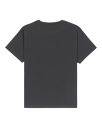 1 Timber Boxcar Y - T-shirt de manga curta para Rapazes 8-16 Preto ELBZT00257 Element