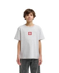 4 Square Logo Gray ELBZT00290 Element