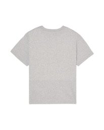 1 Teaching Snake Gray ELBZT00304 Element