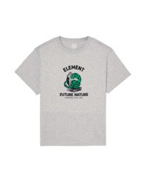0 Teaching Snake Gray ELBZT00304 Element