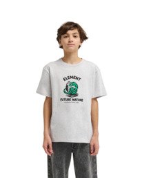 4 Teaching Snake Gray ELBZT00304 Element