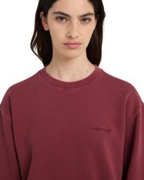 2 Cornell 3.0 - Pullover Sweatshirt for Women Purple ELJFT00120 Element