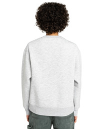 4 Element Co Cr W - Sweat pour Femme Gris ELJFT00123 Element