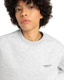 2 Element Co Cr W - Sweat pour Femme Gris ELJFT00123 Element