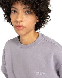 2 Element Co Cr W - Sweat pour Femme Gris ELJFT00123 Element